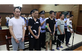 税务催收入库信息：了解税收催收流程及应对策略